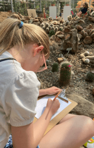 Kind tekent zittend omringd door cactussen