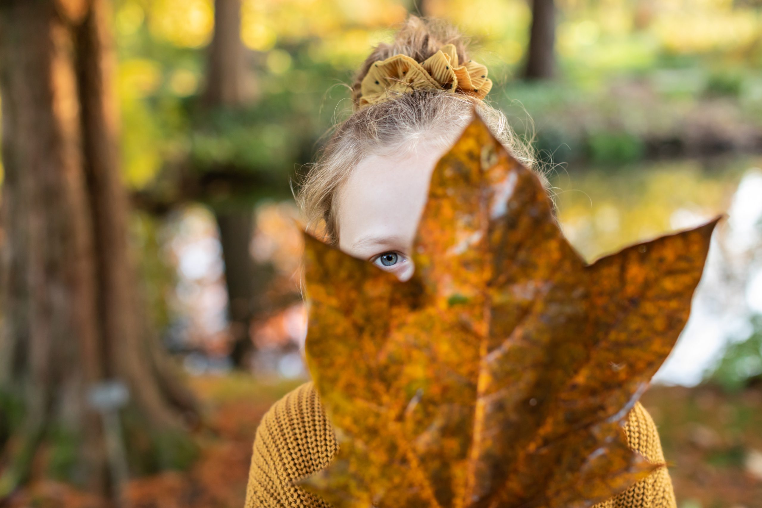 Groot herfstblad met meisje erachter